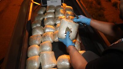 Esenyurt'ta 144 kg skunk ele geçirildi: 5 gözaltı