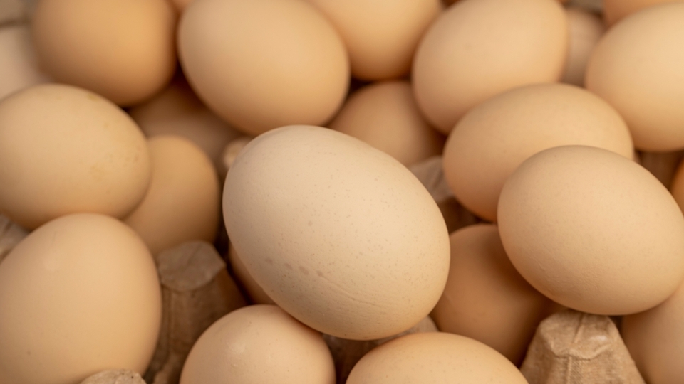 Yumurta ihracatında fon kesintisi kaldırıldı