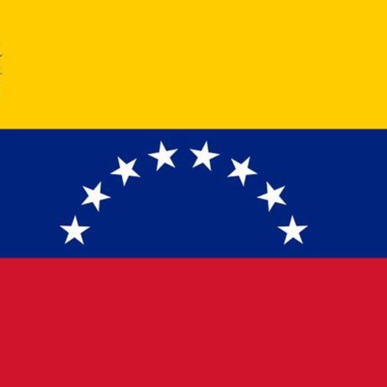 Venezuela Bayrağı Nedir?