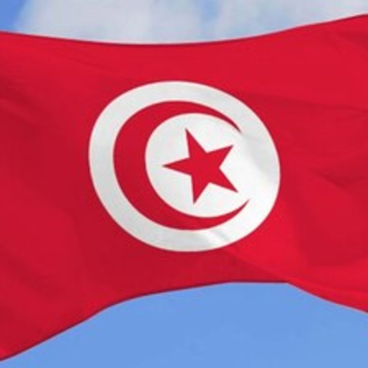 Tunus Bayrağı Nedir?