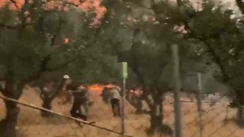 Sakarya'da alevlerden kaçış kamerada!