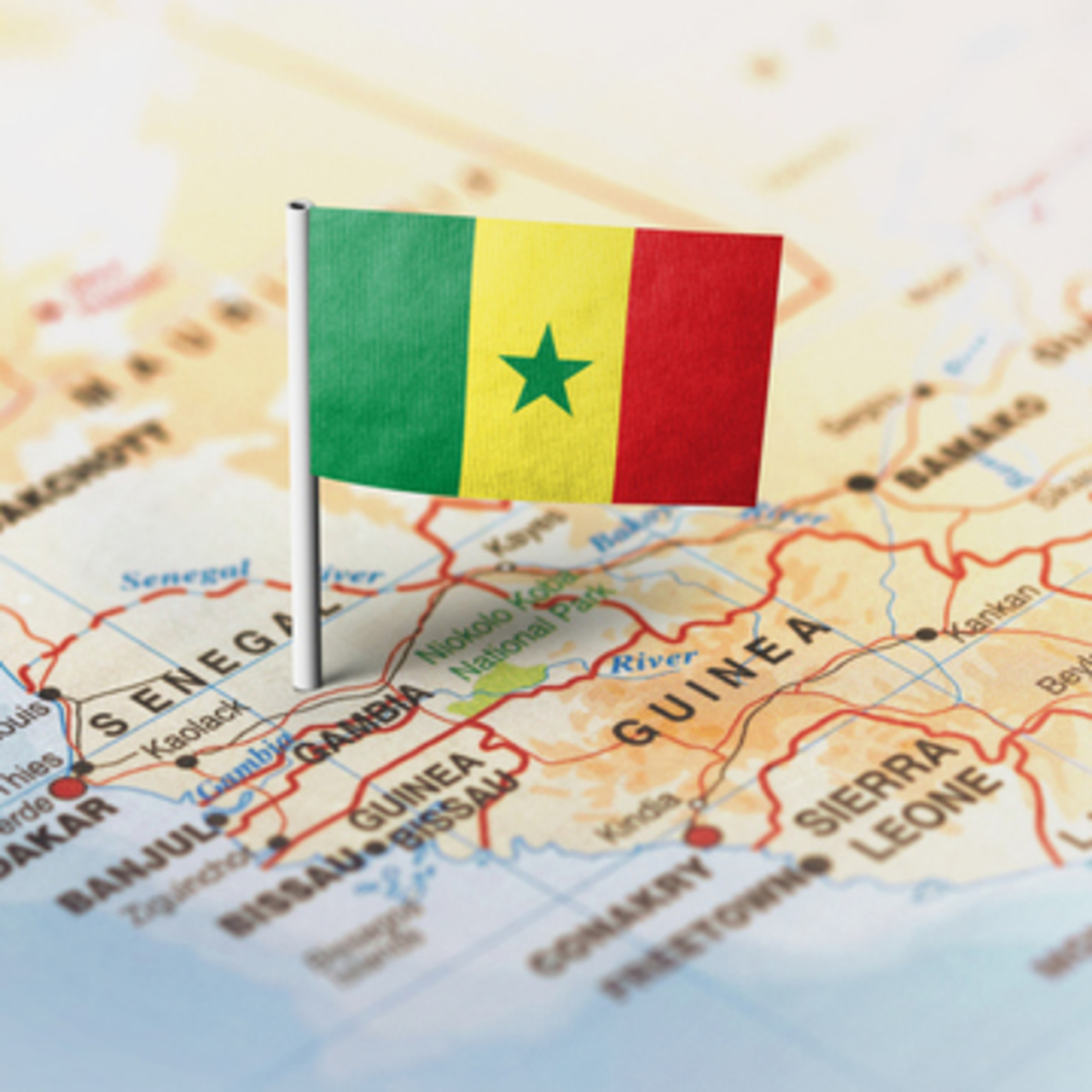 Senegal bayrağı nedir?