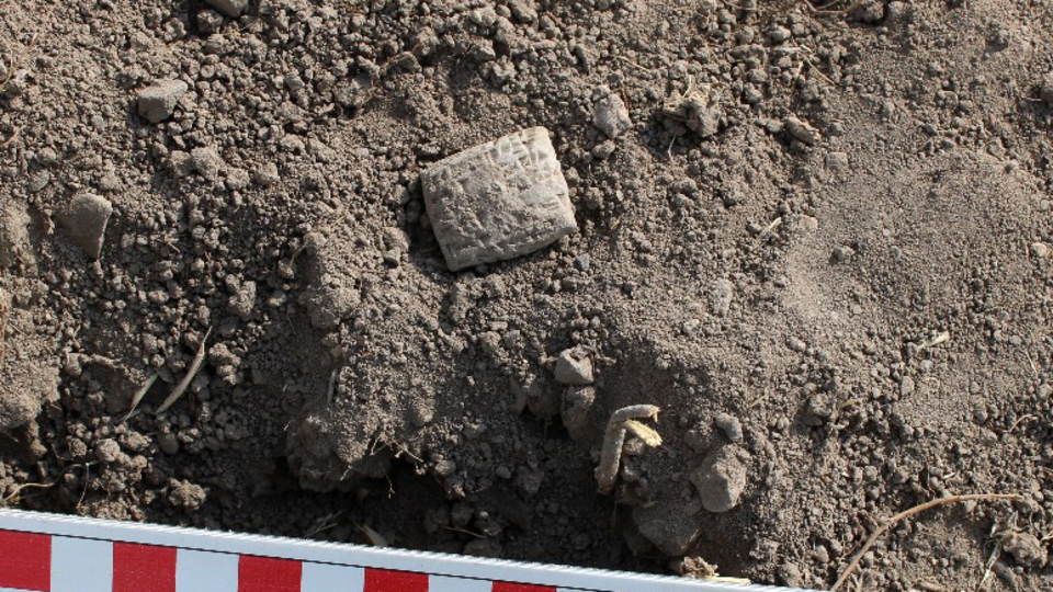 Hitit yerleşim yerinde 'kuş kehanet metni' bulundu