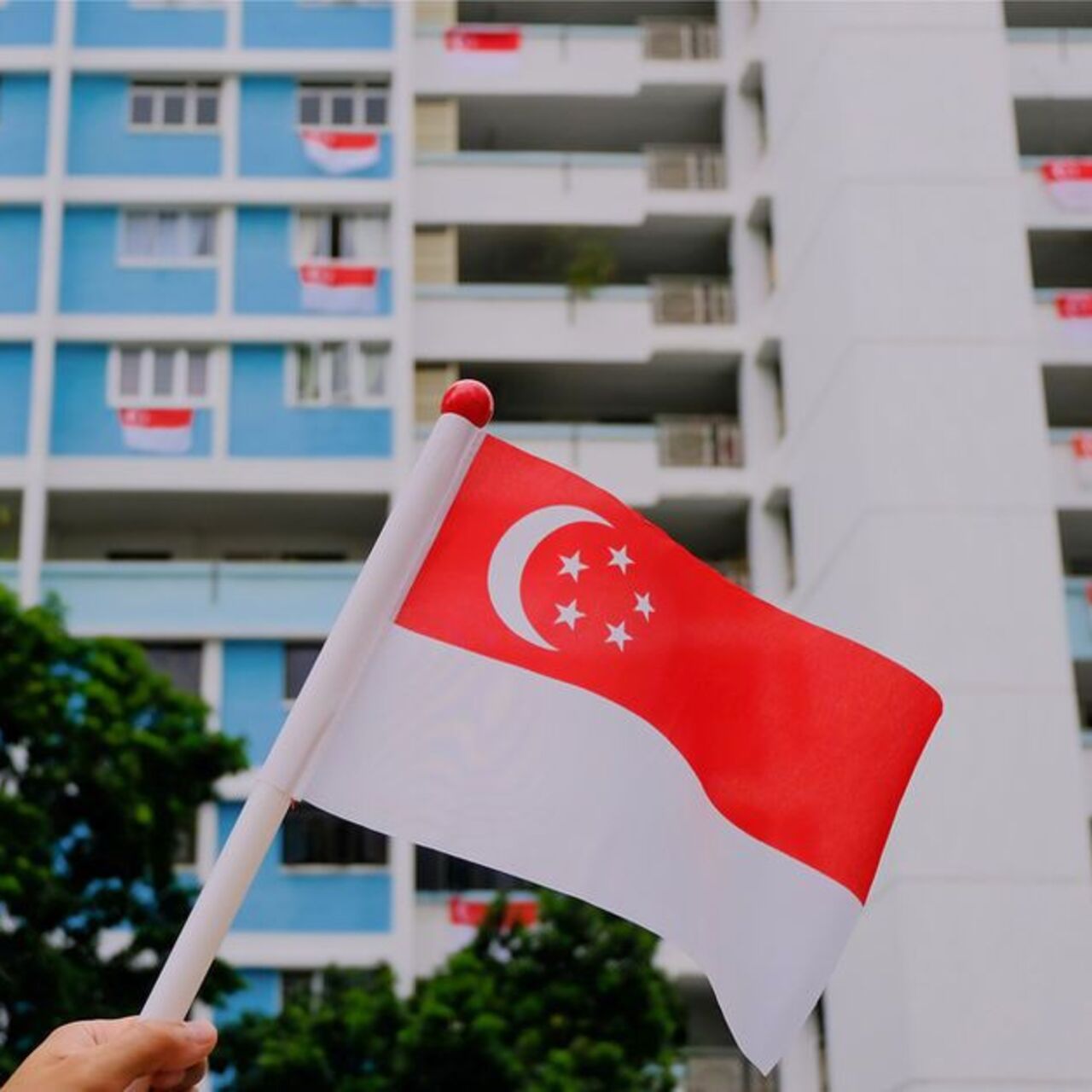 Singapur bayrağı nedir?