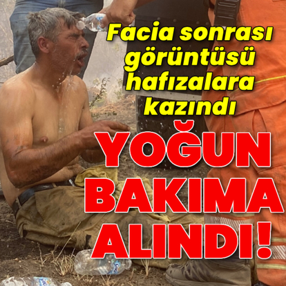 Faciadan kurtulan orman işçisi yoğun bakıma alındı!