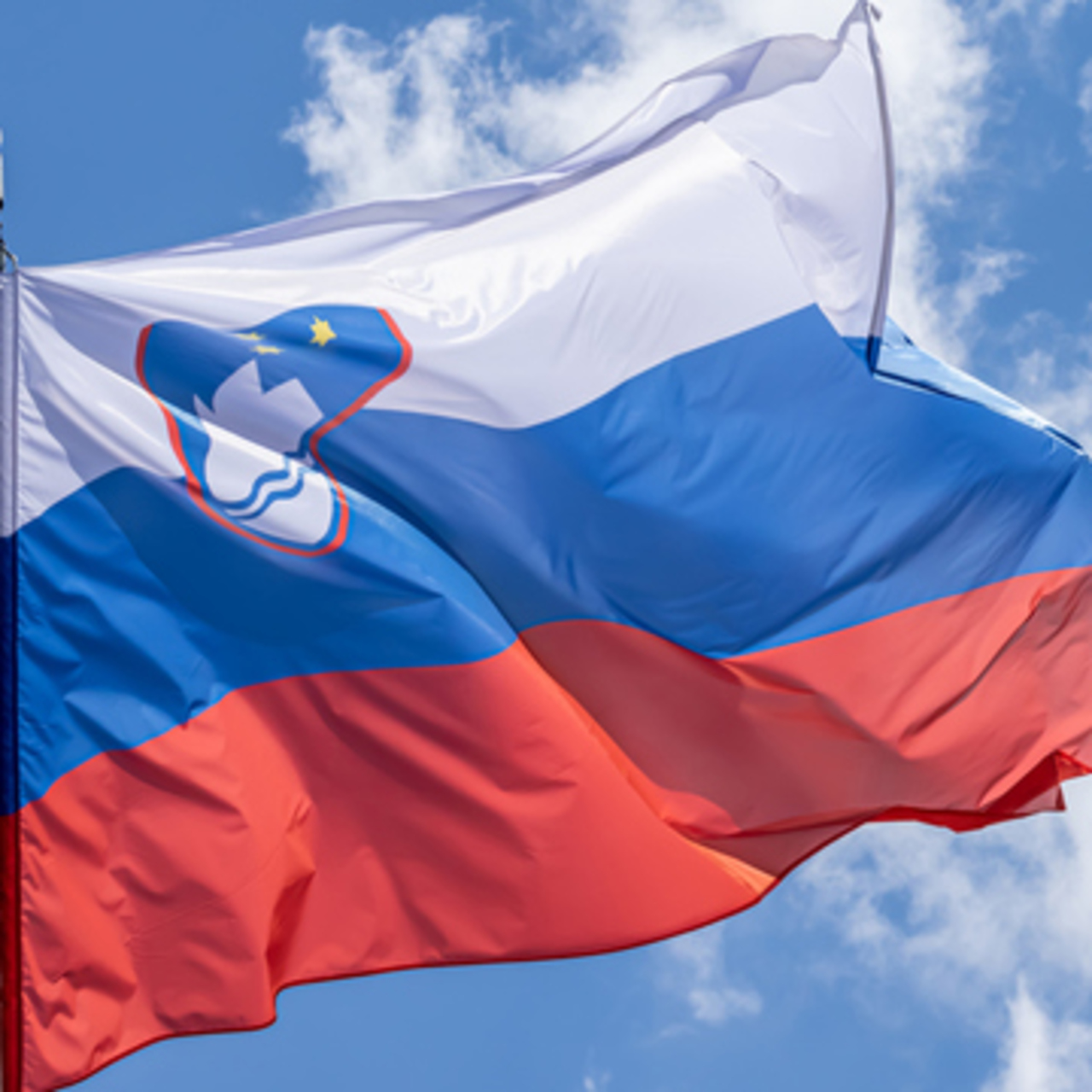 Slovenya bayrağı nedir?