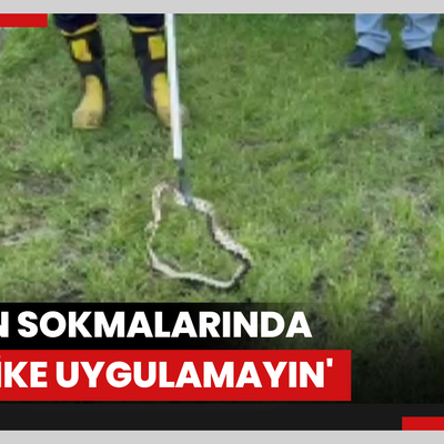 'Yılan sokmalarında turnike uygulamayın'