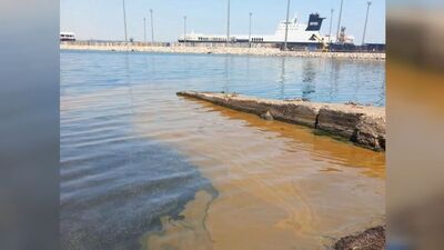 Marmara Denizi'nde korkutan görüntü! İnceleme başlatıldı