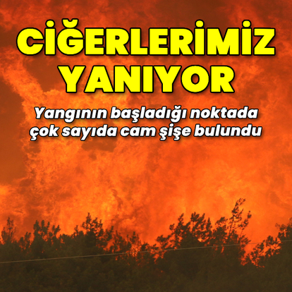 6 şehirde orman yangını! Havadan ve karadan müdahale ediliyor