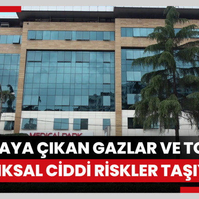 "Orman yangınlarında ortaya çıkan gazlar ve tozlar sağlık açısından ciddi riskler taşıyor"