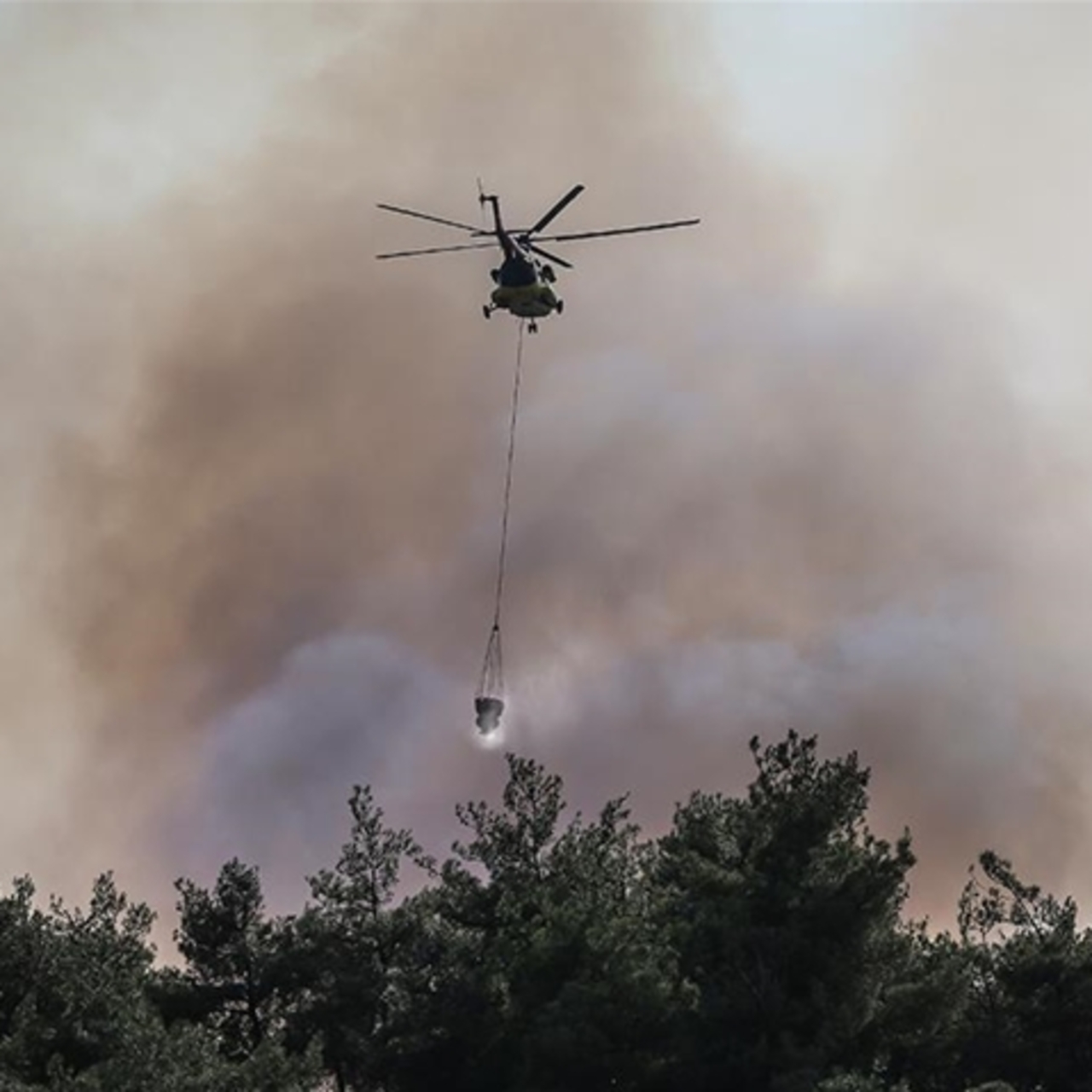 Orman yangınlarında ortaya çıkan gaz ve toz hasta ediyor