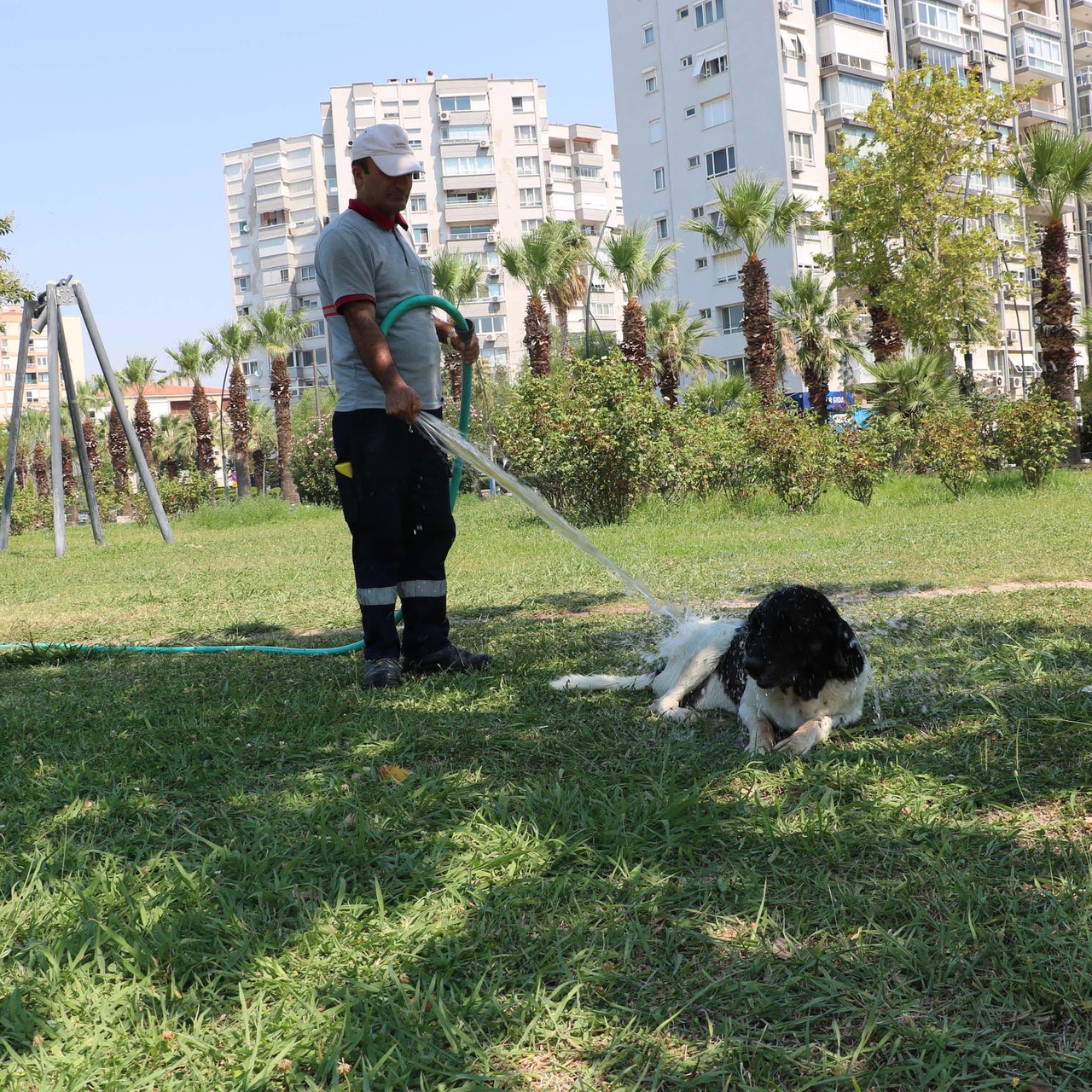 Temizlik görevlisiyle 3 bacaklı 'Kola'nın duygulandıran dostluğu