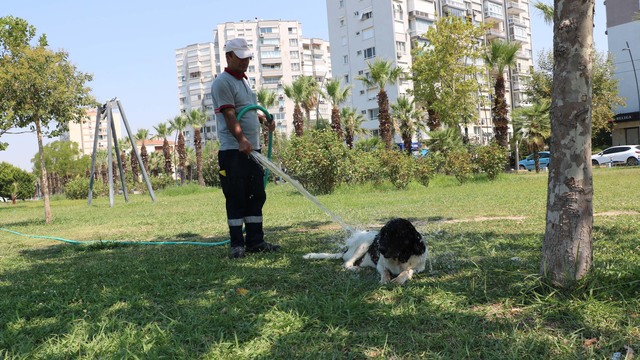 Temizlik görevlisiyle 3 bacaklı 'Kola'nın duygulandıran dostluğu