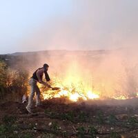 Antalya'da 3 ilçede birden yangın çıktı