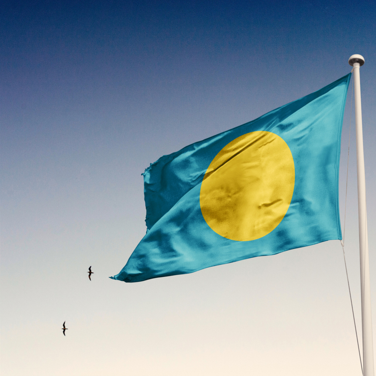 Palau bayrağı nedir?
