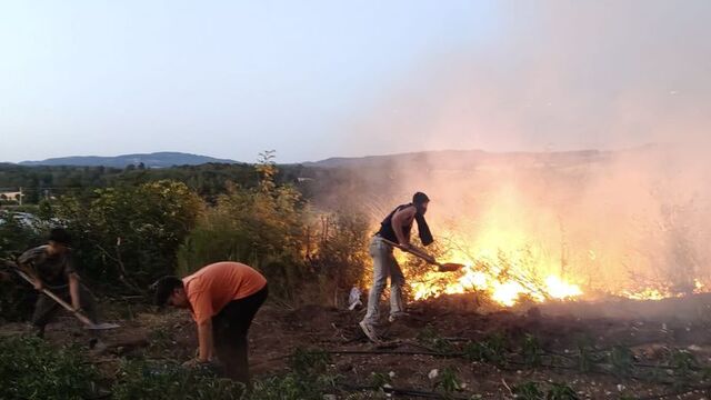 Antalya'da orman yangını!