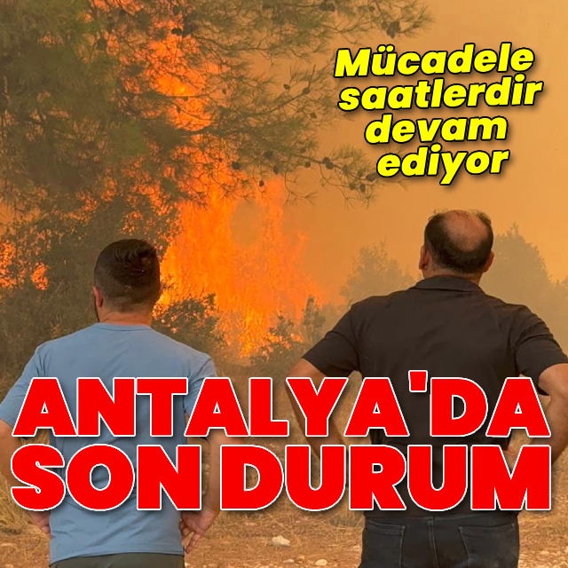 Antalya'da yangın! Havadan ve karadan müdahale sürüyor