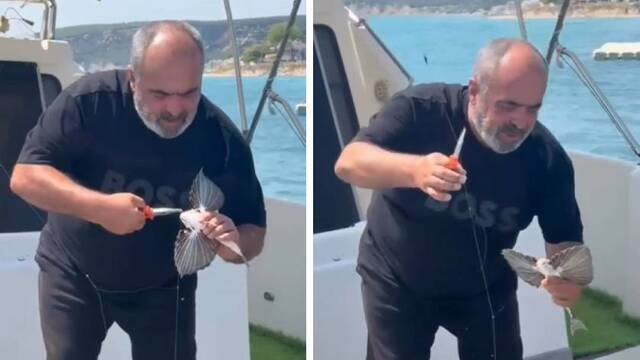 Oltaya takıldı! Bölgede nadir görülüyor