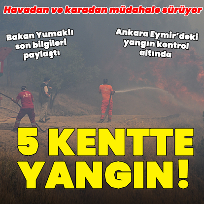 3 kentte orman yangını