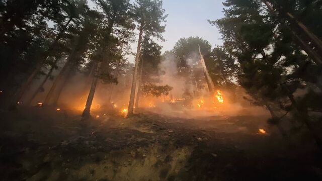 5 kentte orman yangını