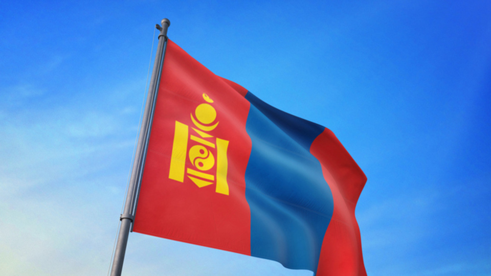 Moğolistan Telefon Kodu