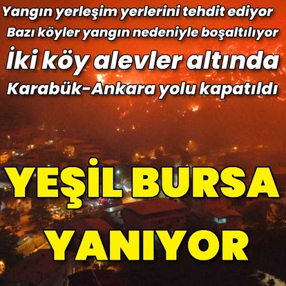 Bursa'da yangın!