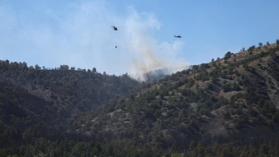 AFAD'dan orman yangınlarına ilişkin açıklama