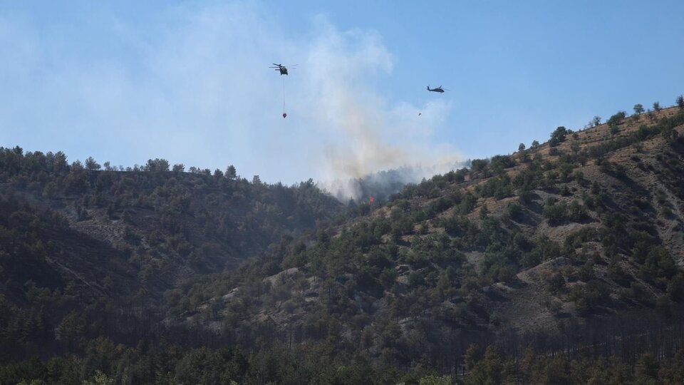 AFAD'dan orman yangınlarına ilişkin açıklama
