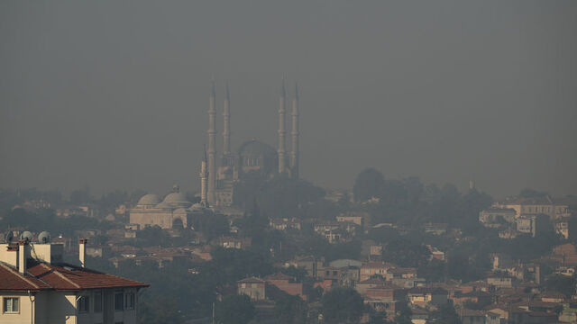 Bulgaristan'da çıkan yangın Türkiye sınırına ulaştı!