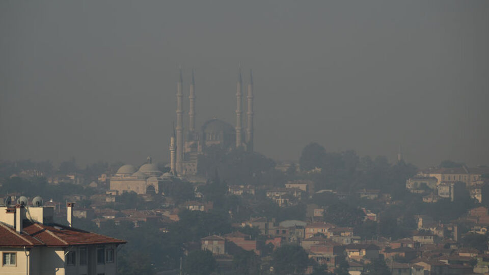Bulgaristan'da çıkan yangın Türkiye sınırına ulaştı!