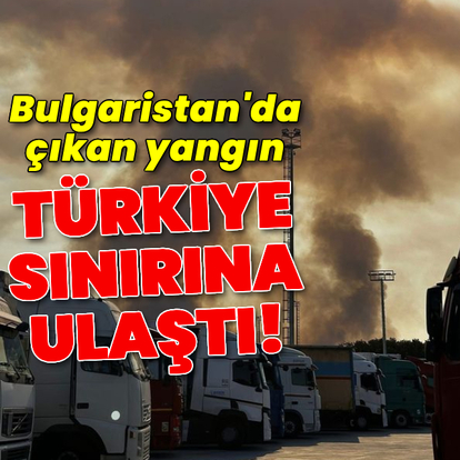 Bulgaristan'da çıkan yangın Türkiye sınırına ulaştı!
