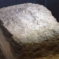 Urartular'a ait kadın ayak izi ilk kez sergileniyor