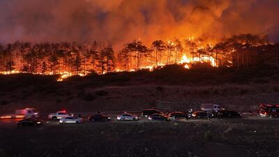 Yapraklar bile dökülüyor! "Yangın pandemisi yaşıyoruz!"