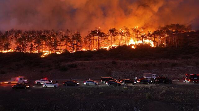 Yapraklar bile dökülüyor! "Yangın pandemisi yaşıyoruz!"