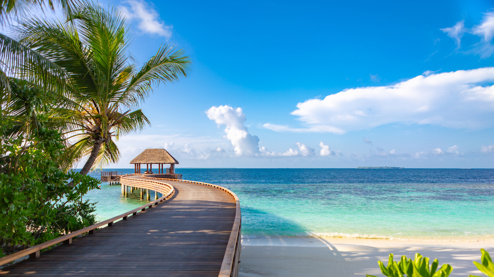 Maldivler Telefon Kodu