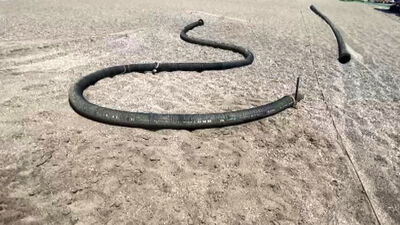 Kirlilikle gündeme gelen sahilde bulundu