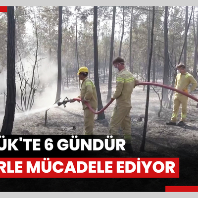 Çeşitli illerden gelen orman kahramanları, Karabük'te 6 gündür alevlerle mücadele ediyor