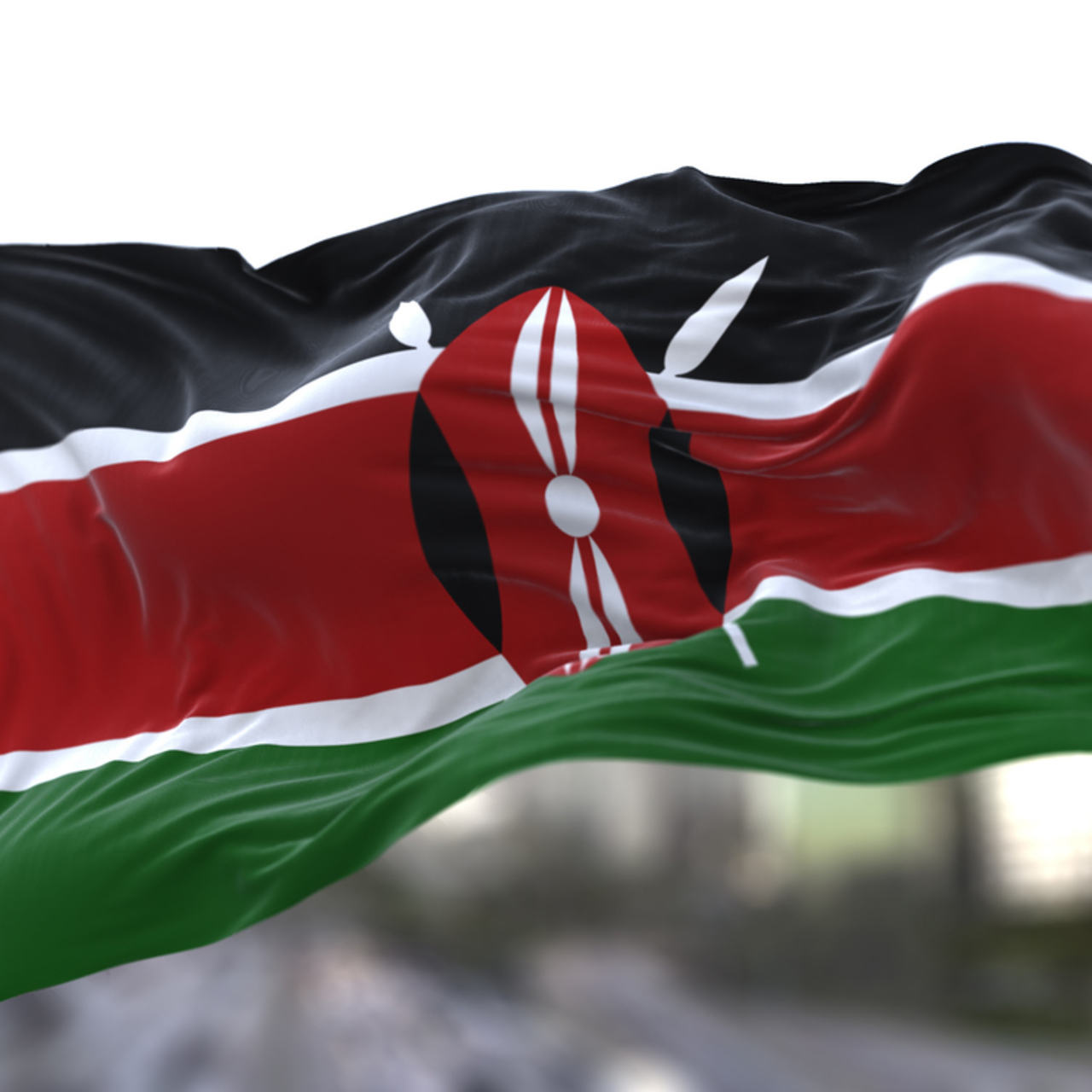 Kenya Telefon Kodu