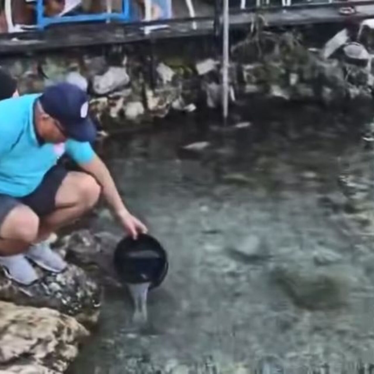 Kadın Azmağı'na 35 bin levrek yavrusu