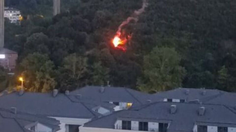 İstanbul'da orman yangını!