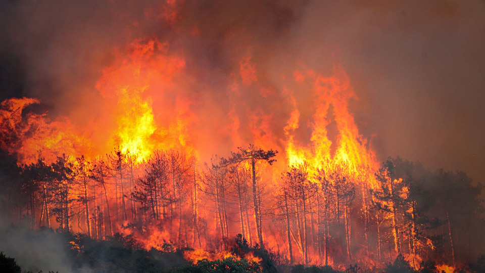 Bursa yangınında son durum! 1 kişi tutuklandı