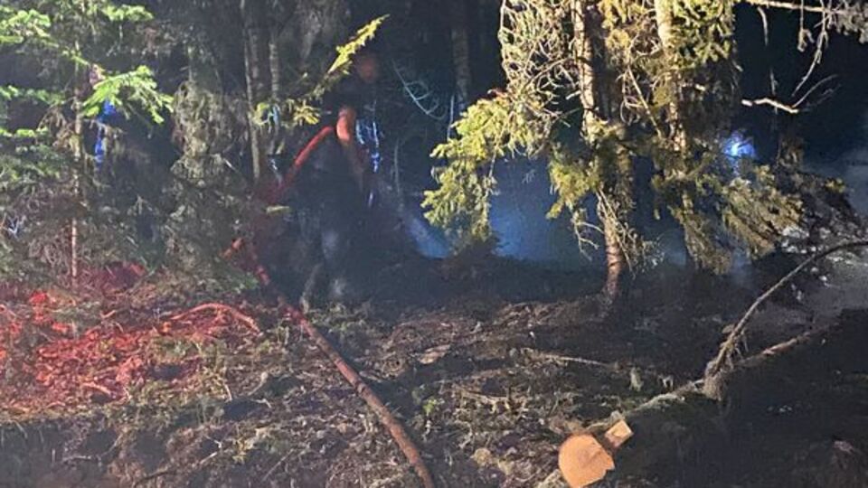 Gümüşhane'de çıkan orman yangını söndürüldü