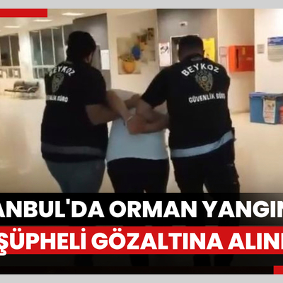 İstanbul'da orman yangını! Bir şüpheli gözaltına alındı
