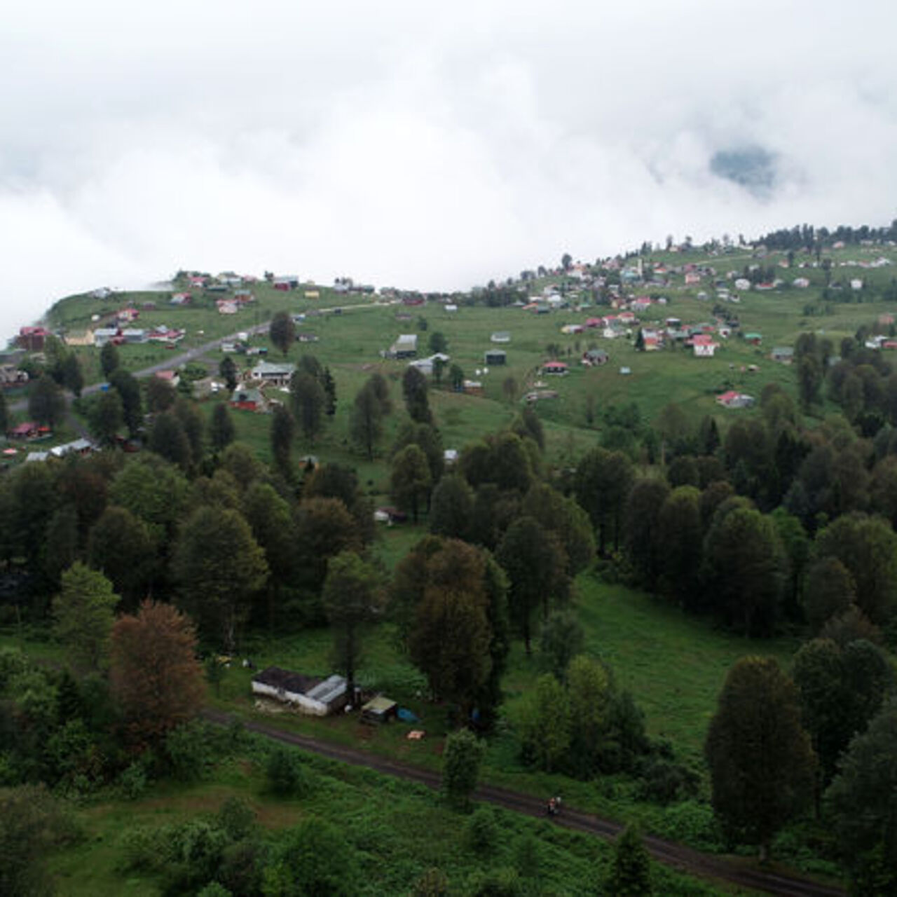 Karadeniz’in yaylalarına ‘sıcak’ göçü