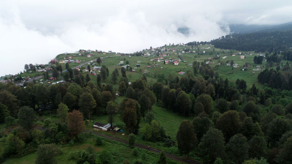 Karadeniz'in yaylalarına 'sıcak' göçü