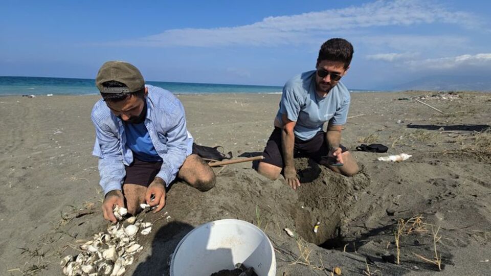 Depremden sonra yeniden başladı... 1100 yuvadan çıktılar!