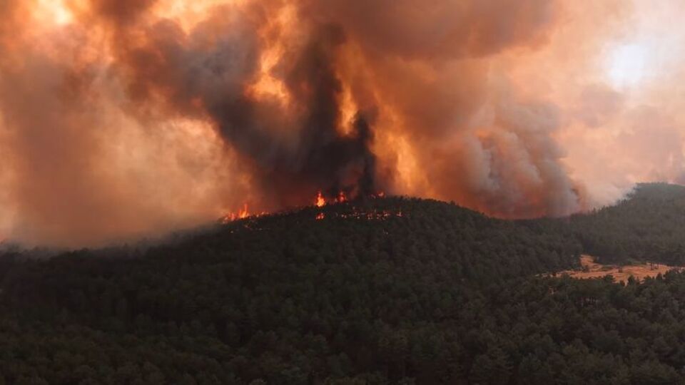 Orman yangınları hibrit terör