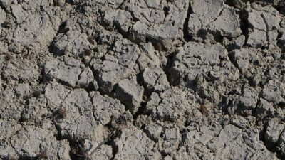 Kuraklığa karşı binalarda "su hasadı" önerisi