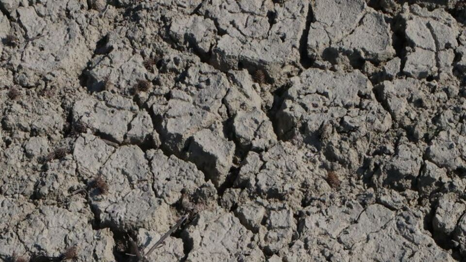 Kuraklığa karşı binalarda "su hasadı" önerisi