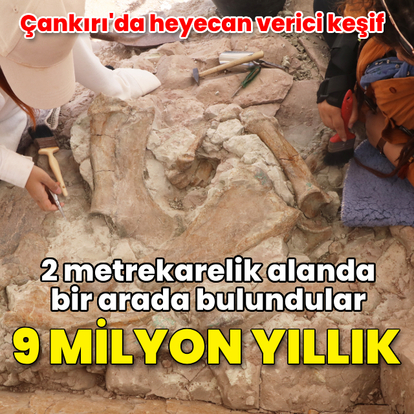 Çankırı'da heyecan verici keşif! 9 milyon yıllık